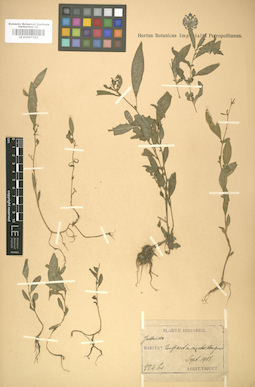 LE 01007323