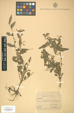 LE 01007324