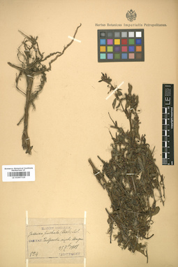 LE 01007325