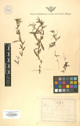 LE 01007327