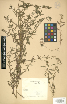 LE 01007328