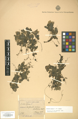 LE 01007343