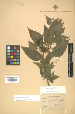 LE 01007348