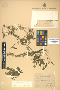 LE 01007363