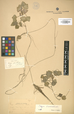 LE 01007364