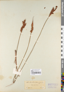 LE 01076947