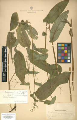 LE 01007380