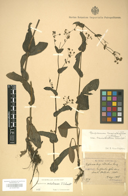 LE 01007383