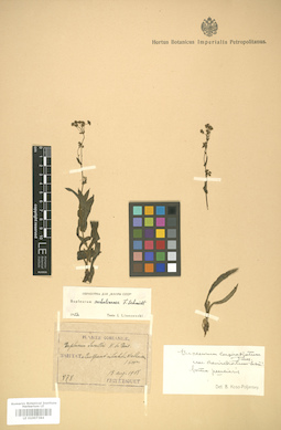LE 01007384