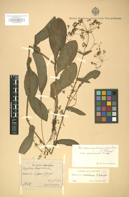 LE 01007386