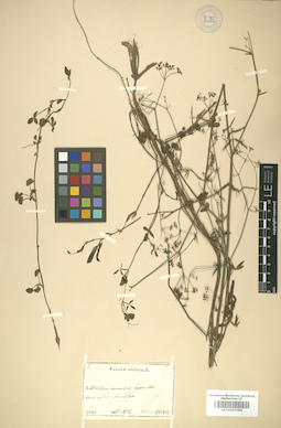 LE 01007390