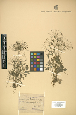 LE 01007393