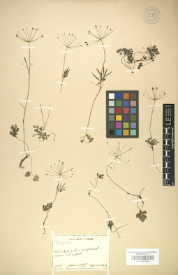 LE 01007414