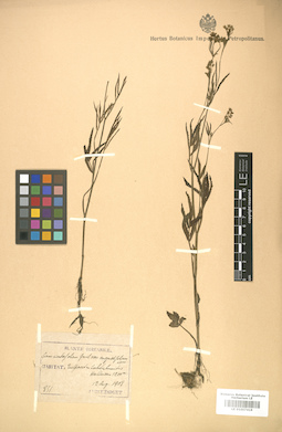 LE 01007418