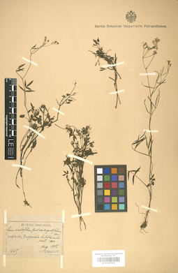 LE 01007419