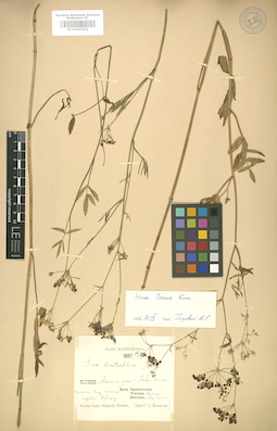 LE 01007422