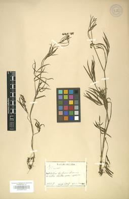 LE 01007425