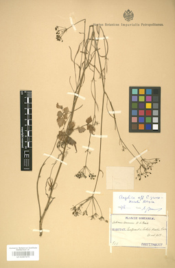 LE 01007475