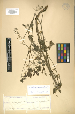 LE 01007476