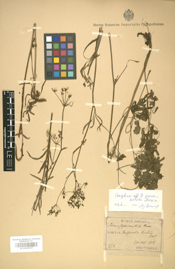 LE 01007477