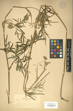 LE 01007483