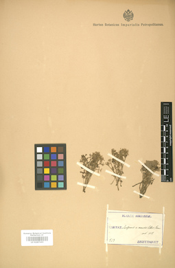 LE 01007495