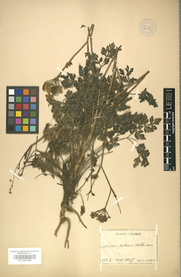 LE 01007498