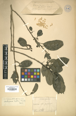 LE 01007514
