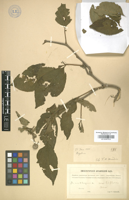 LE 01007521