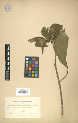 LE 01007522
