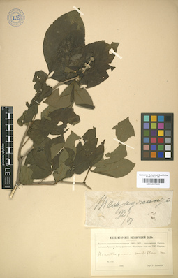 LE 01007525