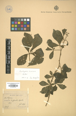 LE 01007530