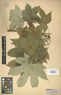 LE 01007535