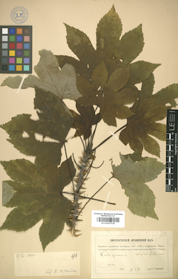 LE 01007536