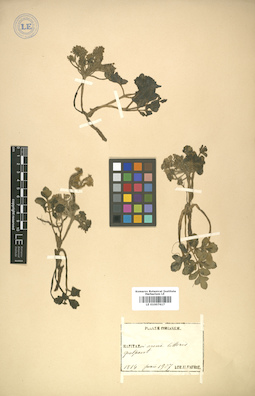 LE 01007617