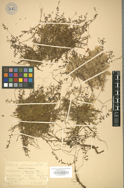 LE 01007674