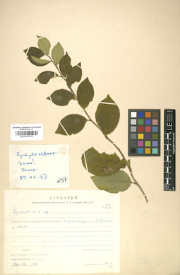 LE 01007675