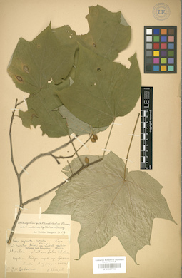 LE 01007701