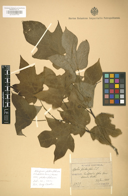LE 01007703