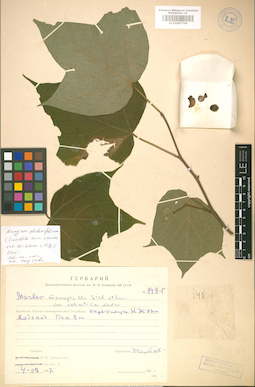 LE 01007708