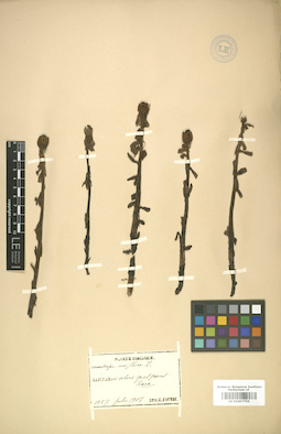 LE 01007755
