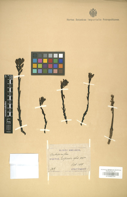 LE 01007756