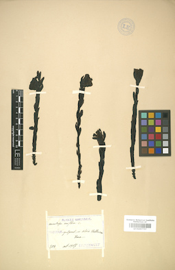 LE 01007757