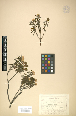 LE 01007761