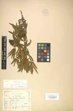 LE 01007762