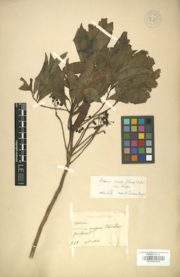 LE 01007802