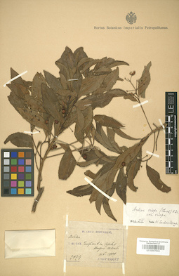 LE 01007804