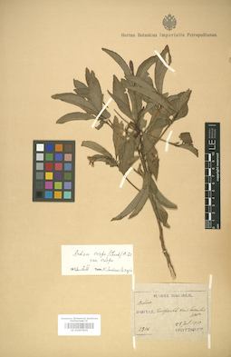 LE 01007805