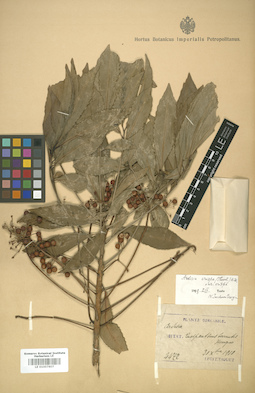 LE 01007807