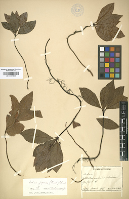 LE 01007810